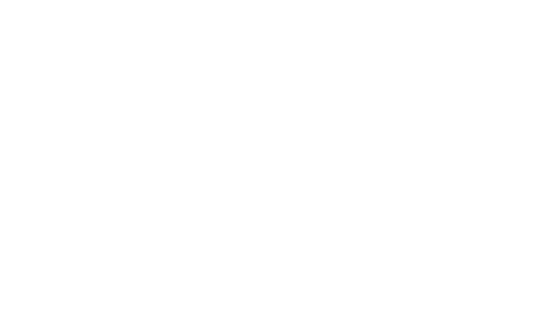 Logo Volley Riozzo